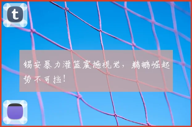 锡安暴力灌篮震撼视觉，鹈鹕崛起势不可挡！