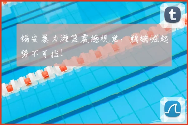 锡安暴力灌篮震撼视觉，鹈鹕崛起势不可挡！